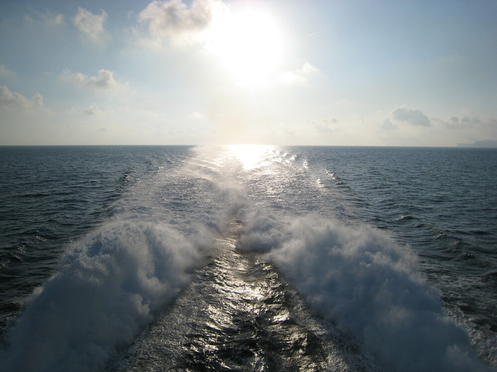 Click to See Next Image