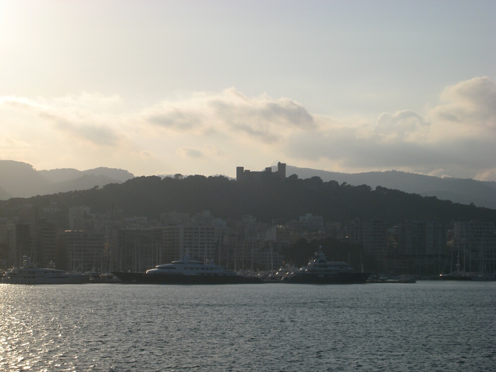 Click to See Next Image