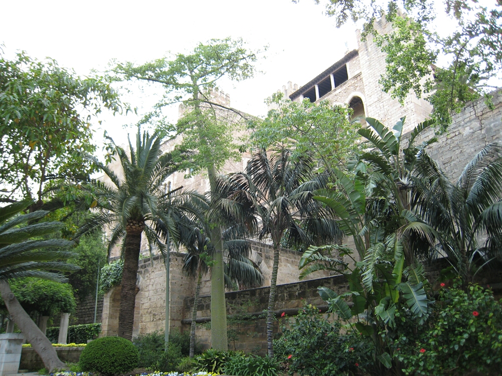 Click to See Next Image