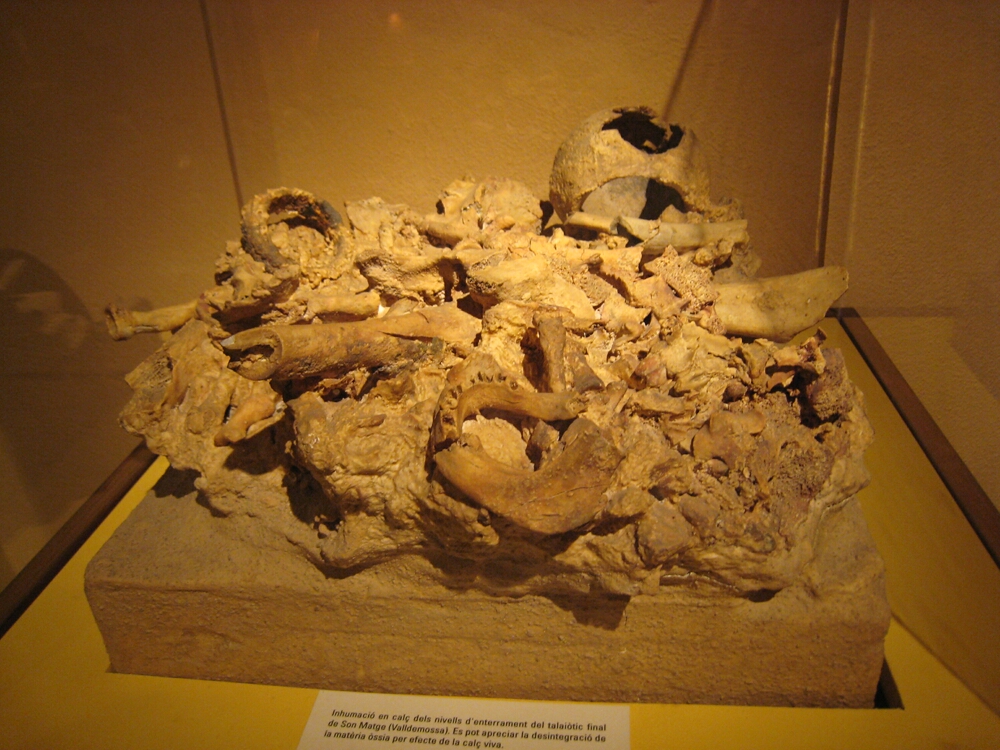 Click to See Next Image