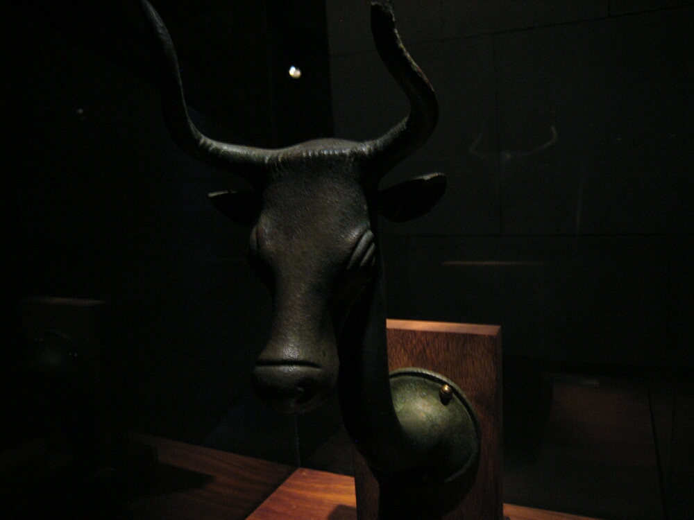 Click to See Next Image