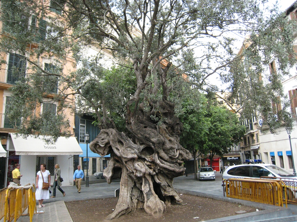 Click to See Next Image