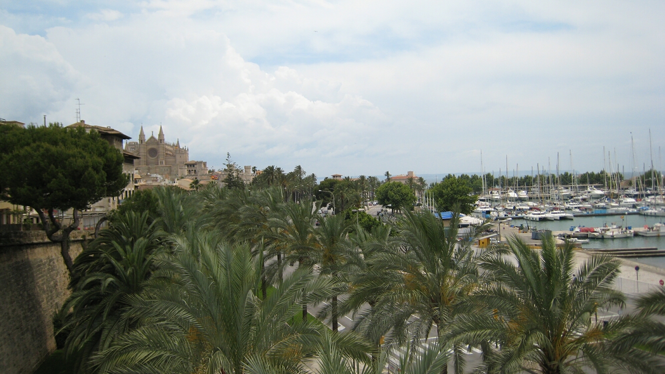 Click to See Next Image