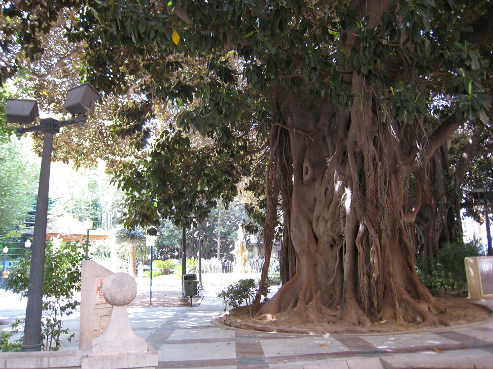 Click to See Next Image