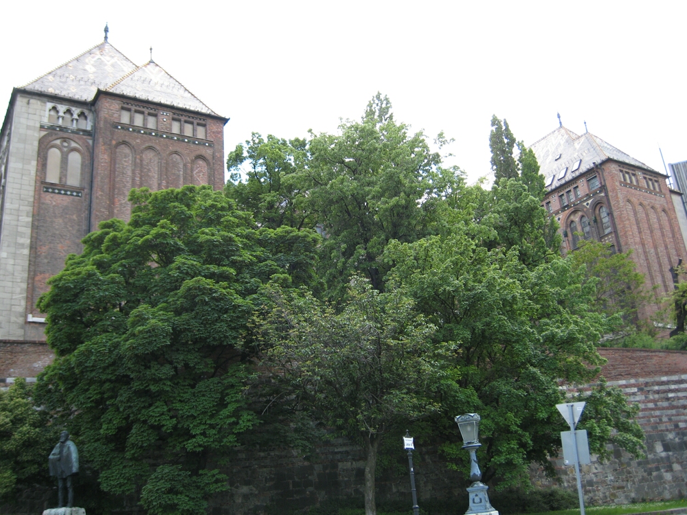 Click to See Next Image