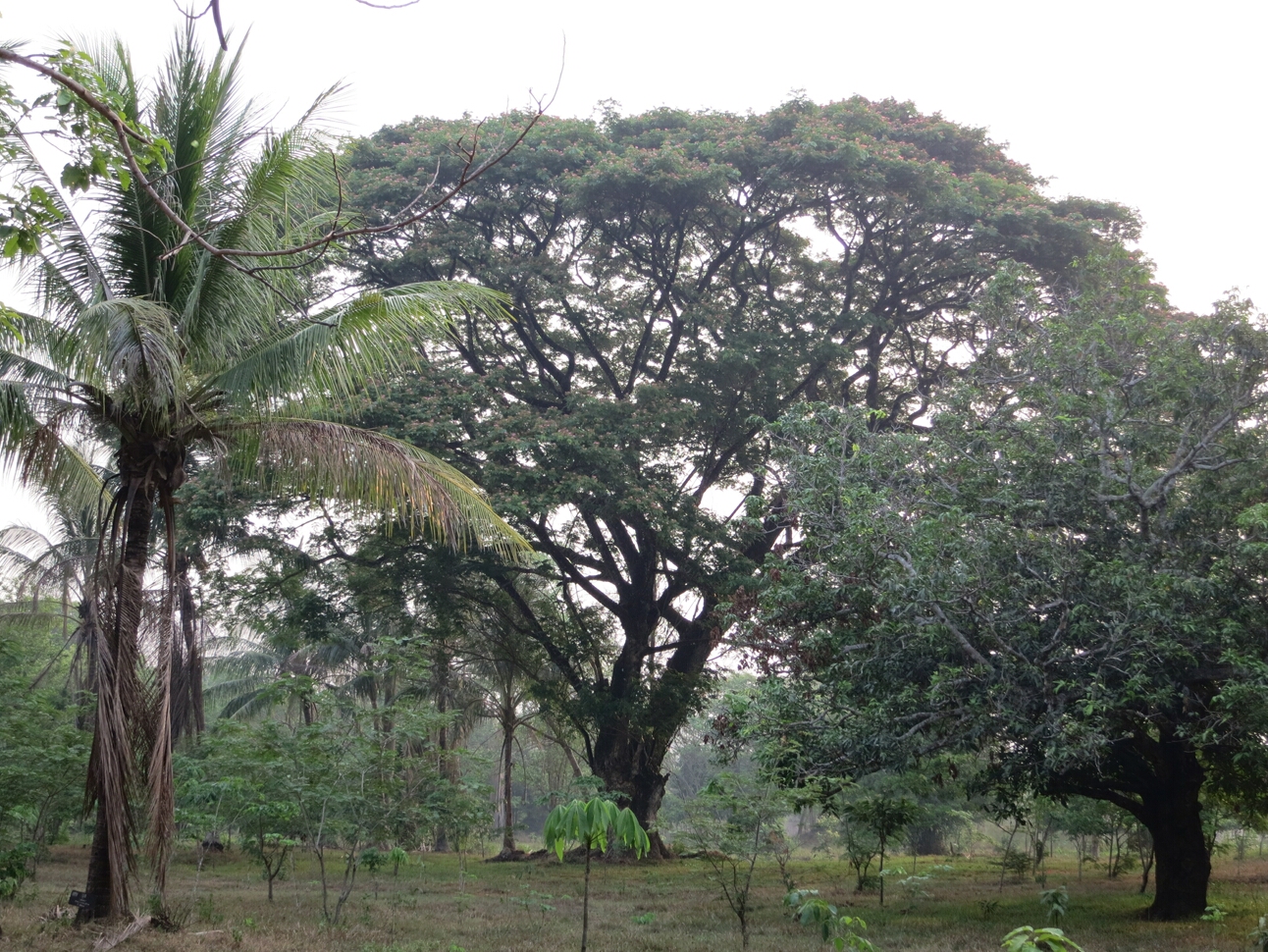 Click to See Next Image