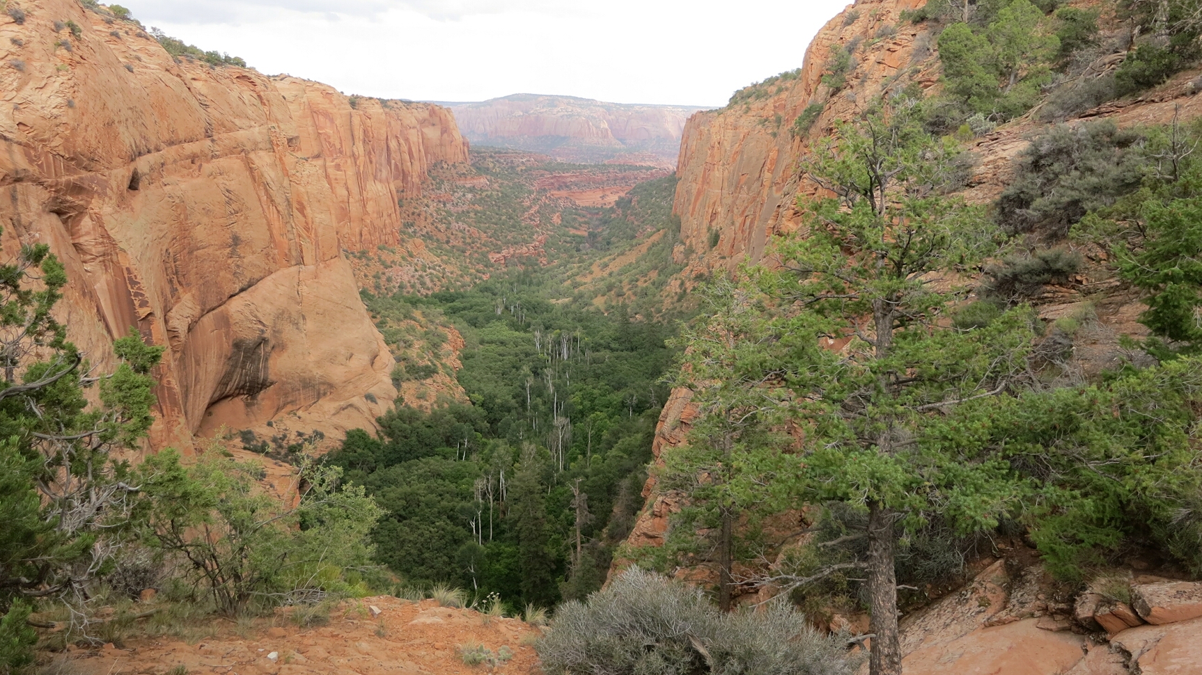 Click to See Next Image