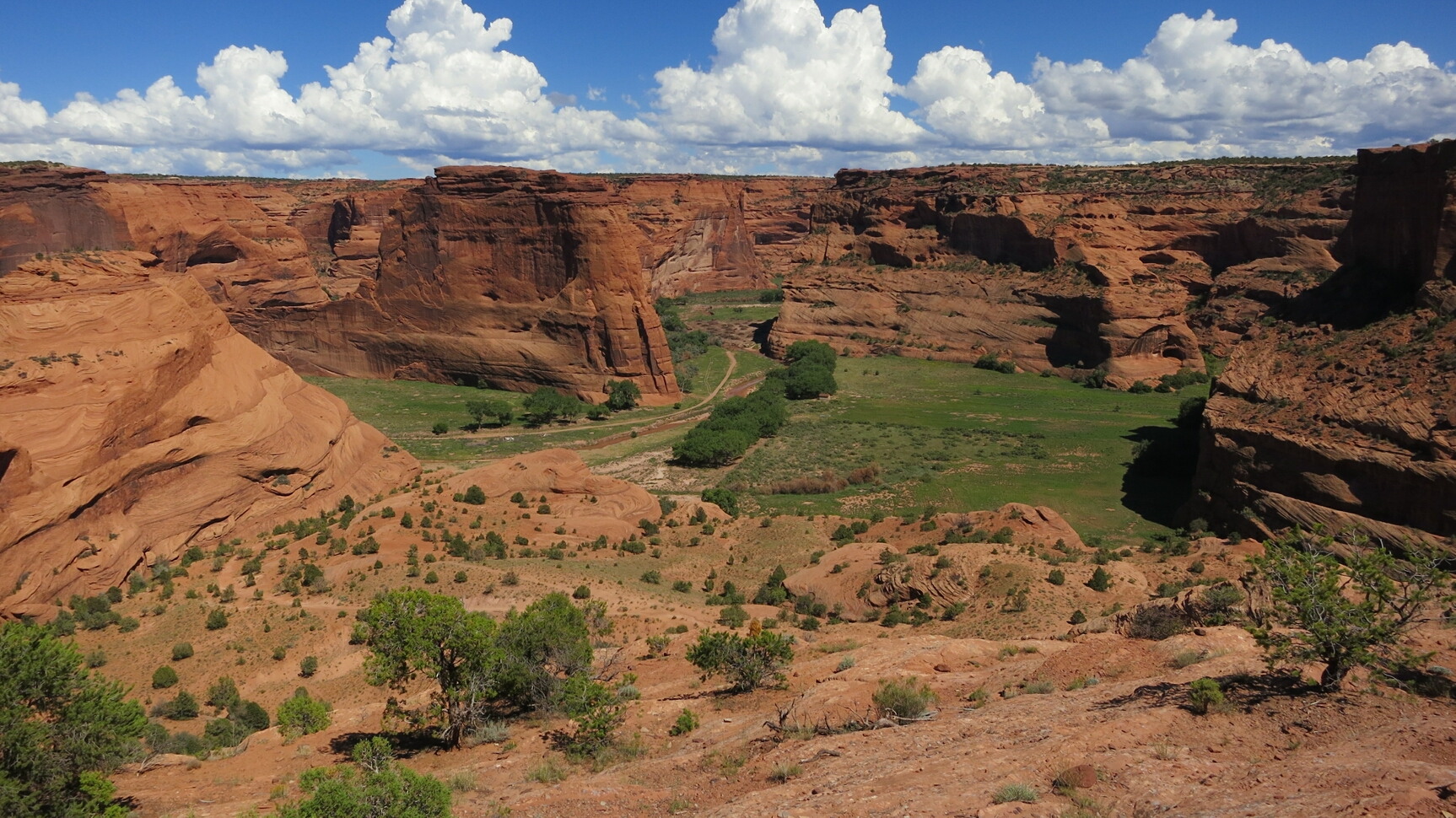 Click to See Next Image