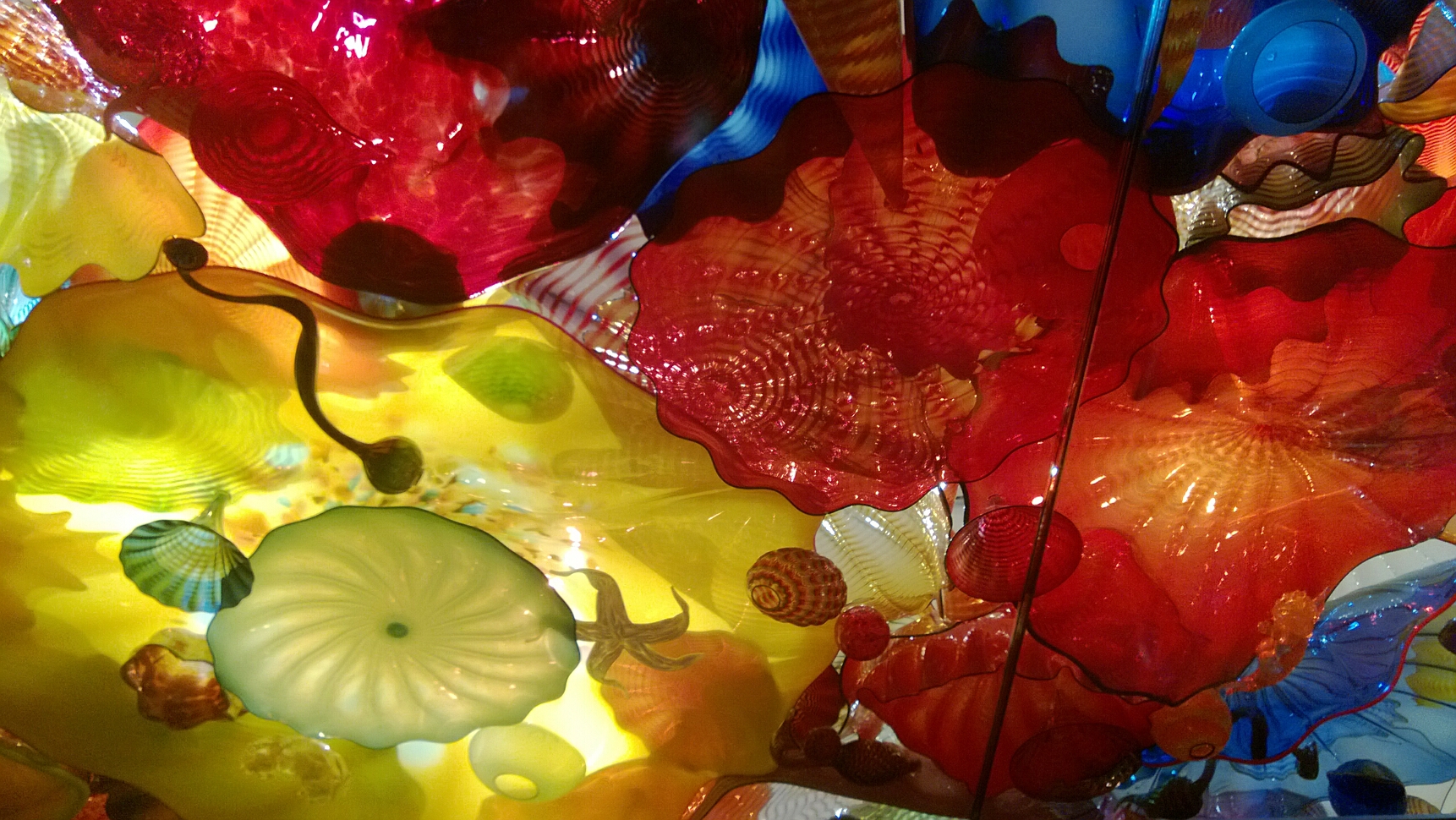 Click to See Next Image