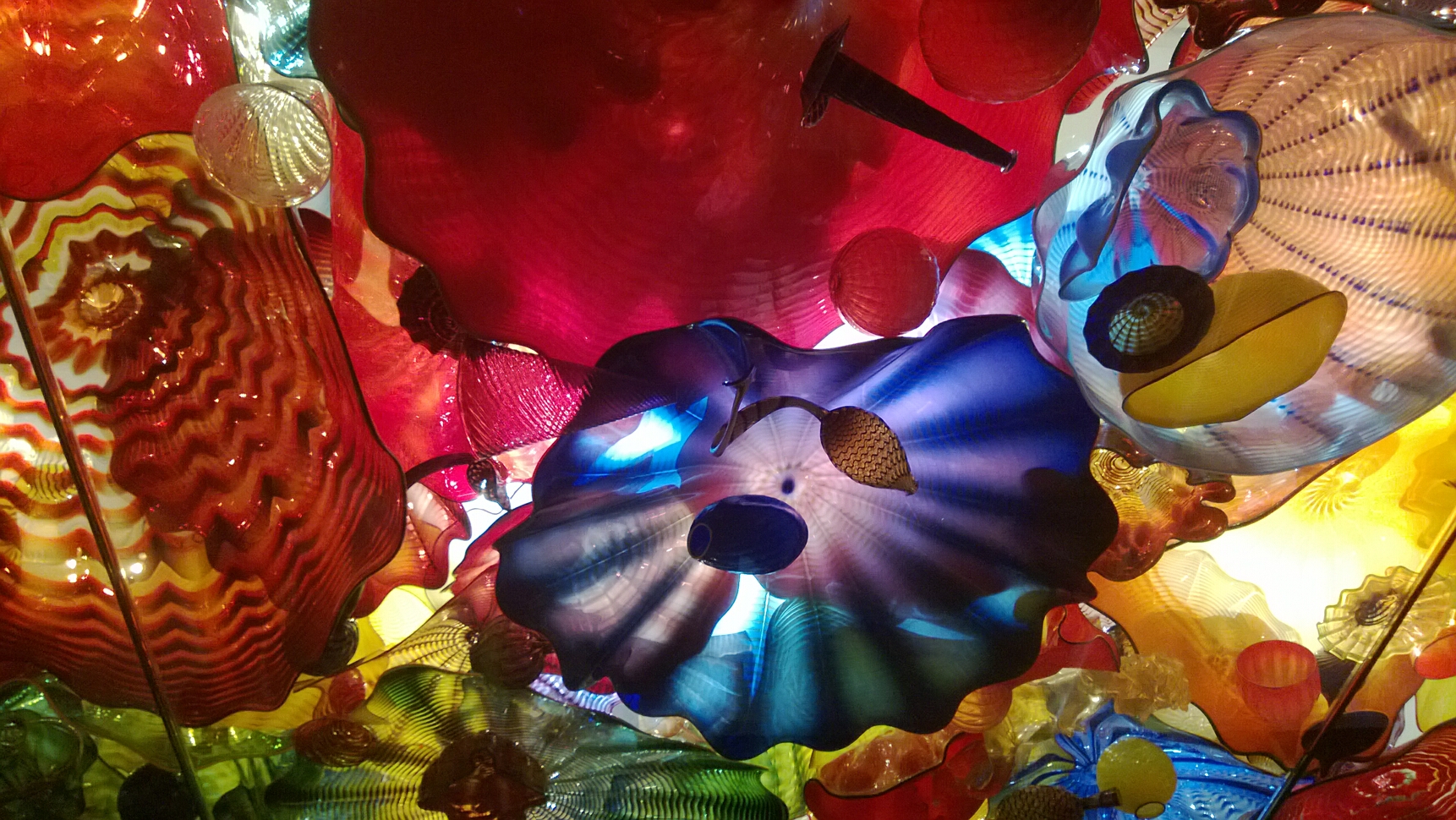 Click to See Next Image