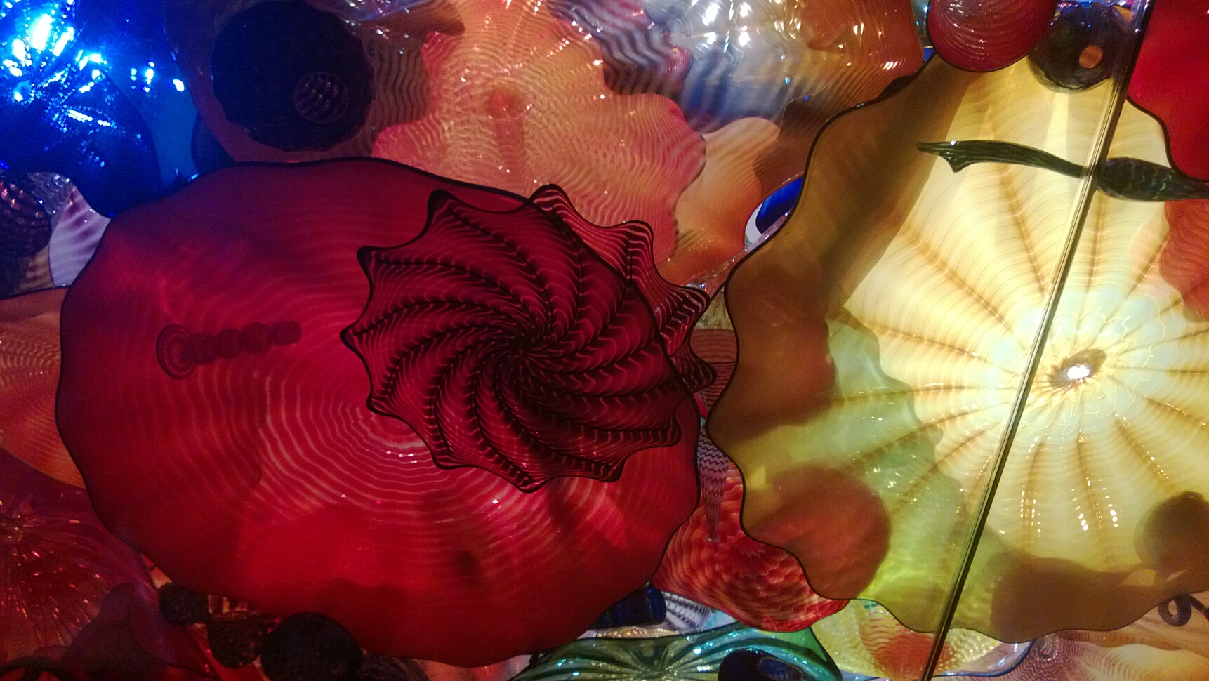 Click to See Next Image