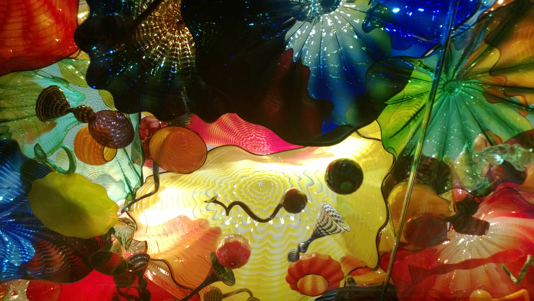 Click to See Next Image