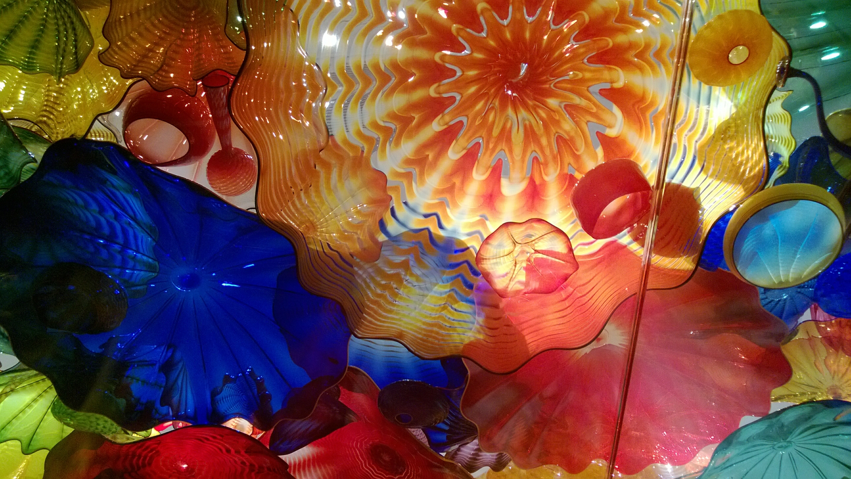 Click to See Next Image