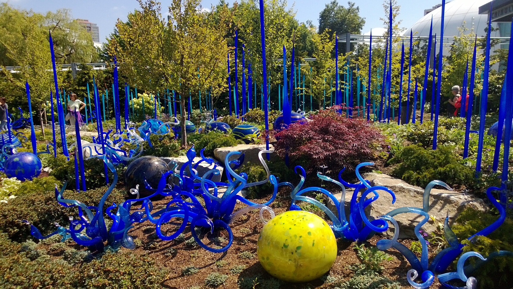 Click to See Next Image