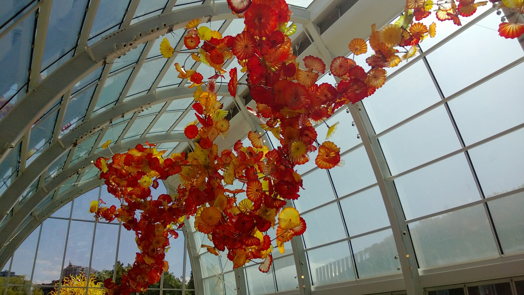 Click to See Next Image