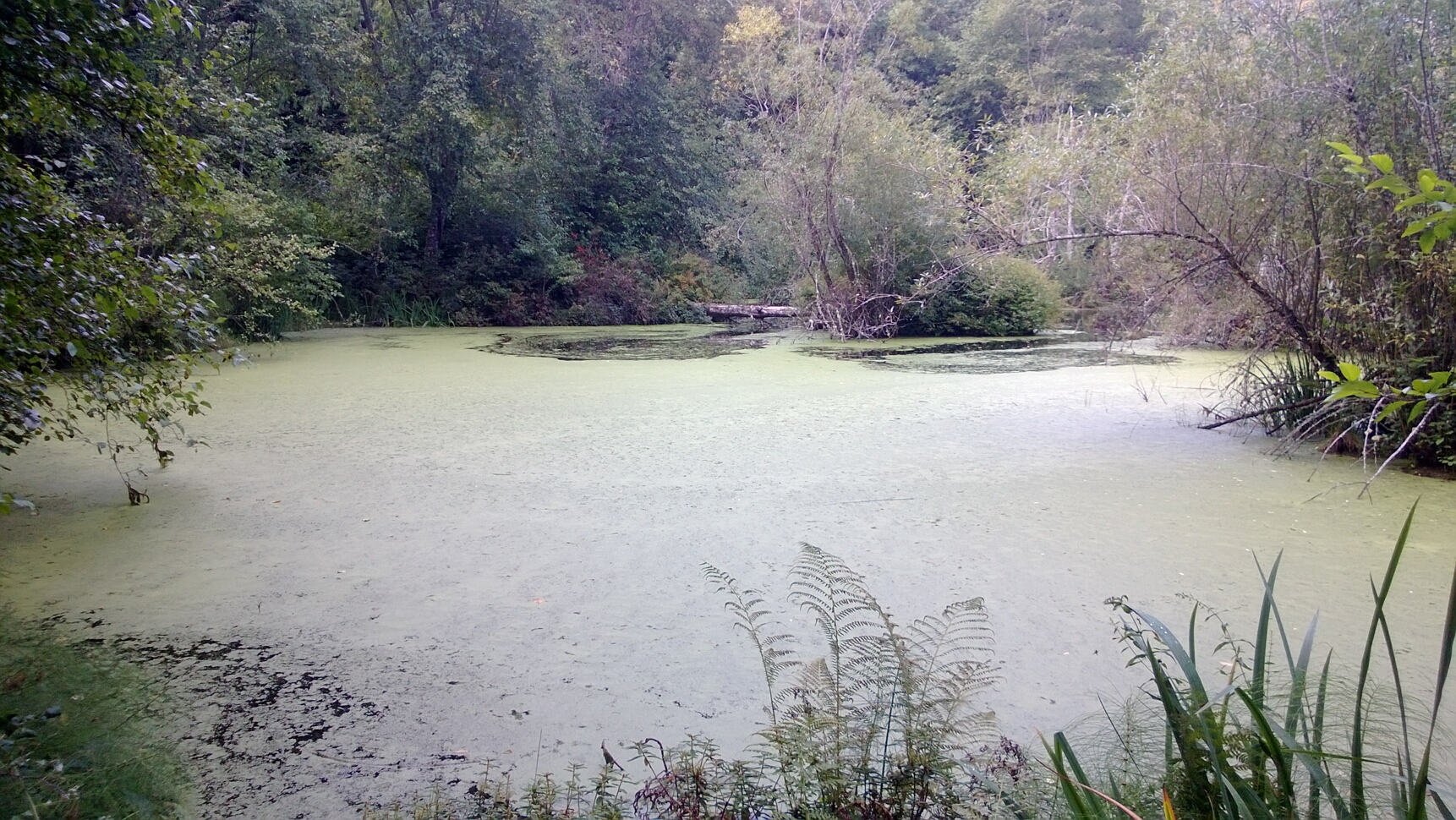 Click to See Next Image