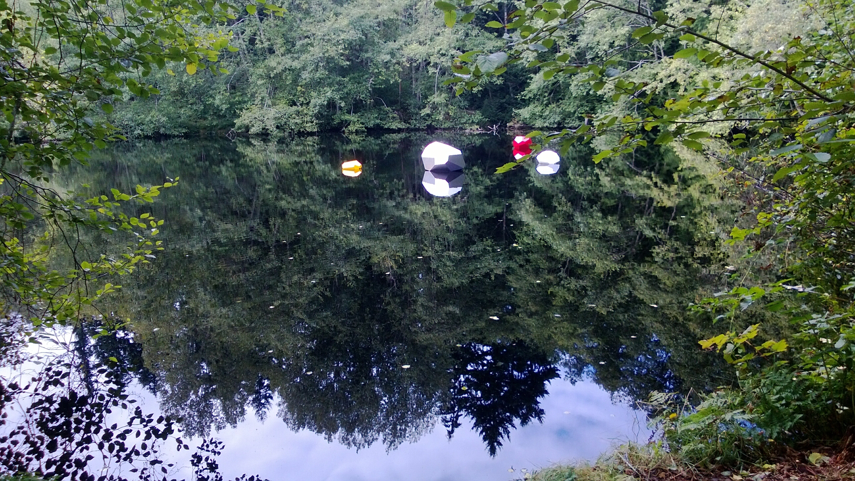 Click to See Next Image