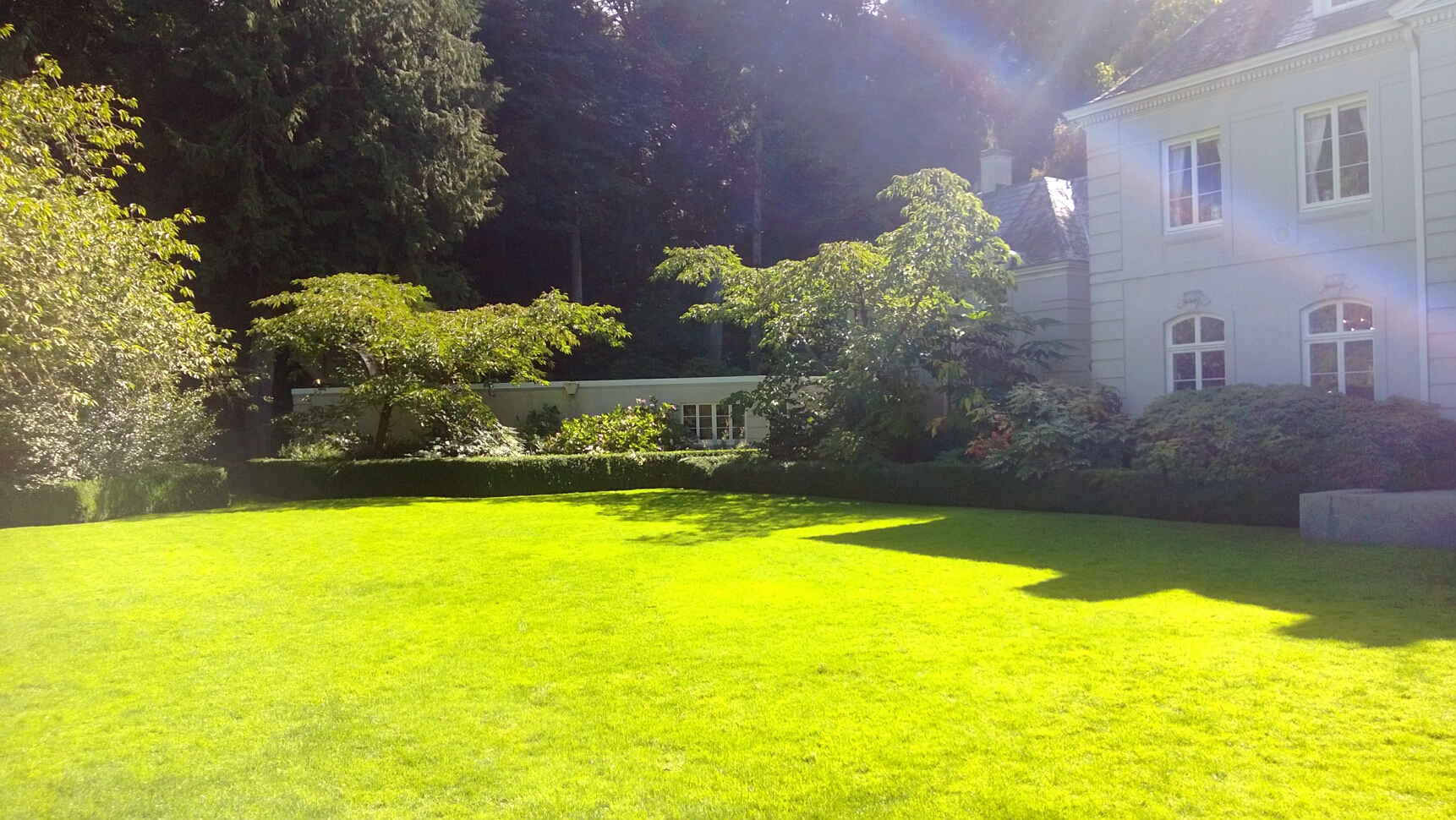 Click to See Next Image