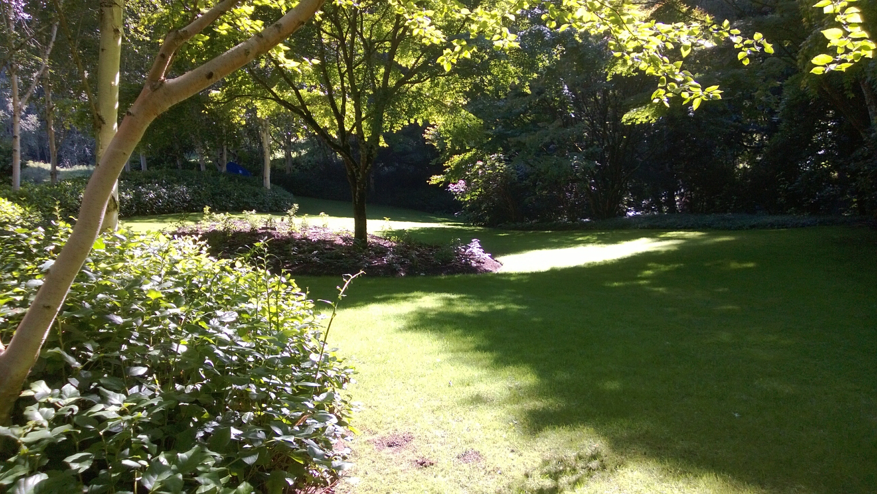 Click to See Next Image