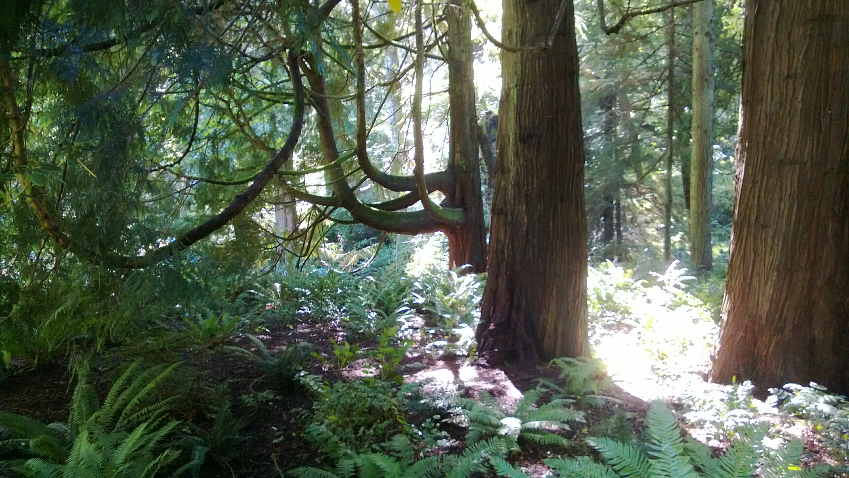 Click to See Next Image