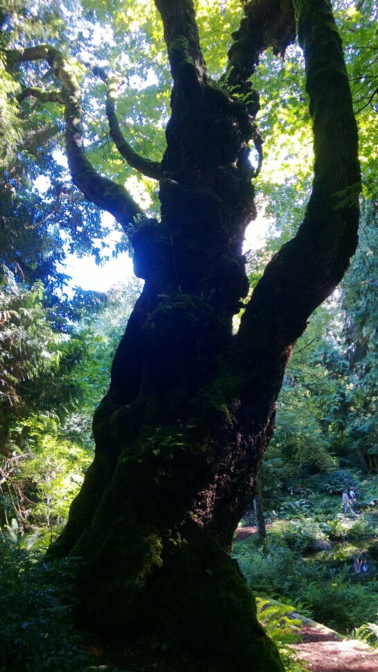 Click to See Next Image