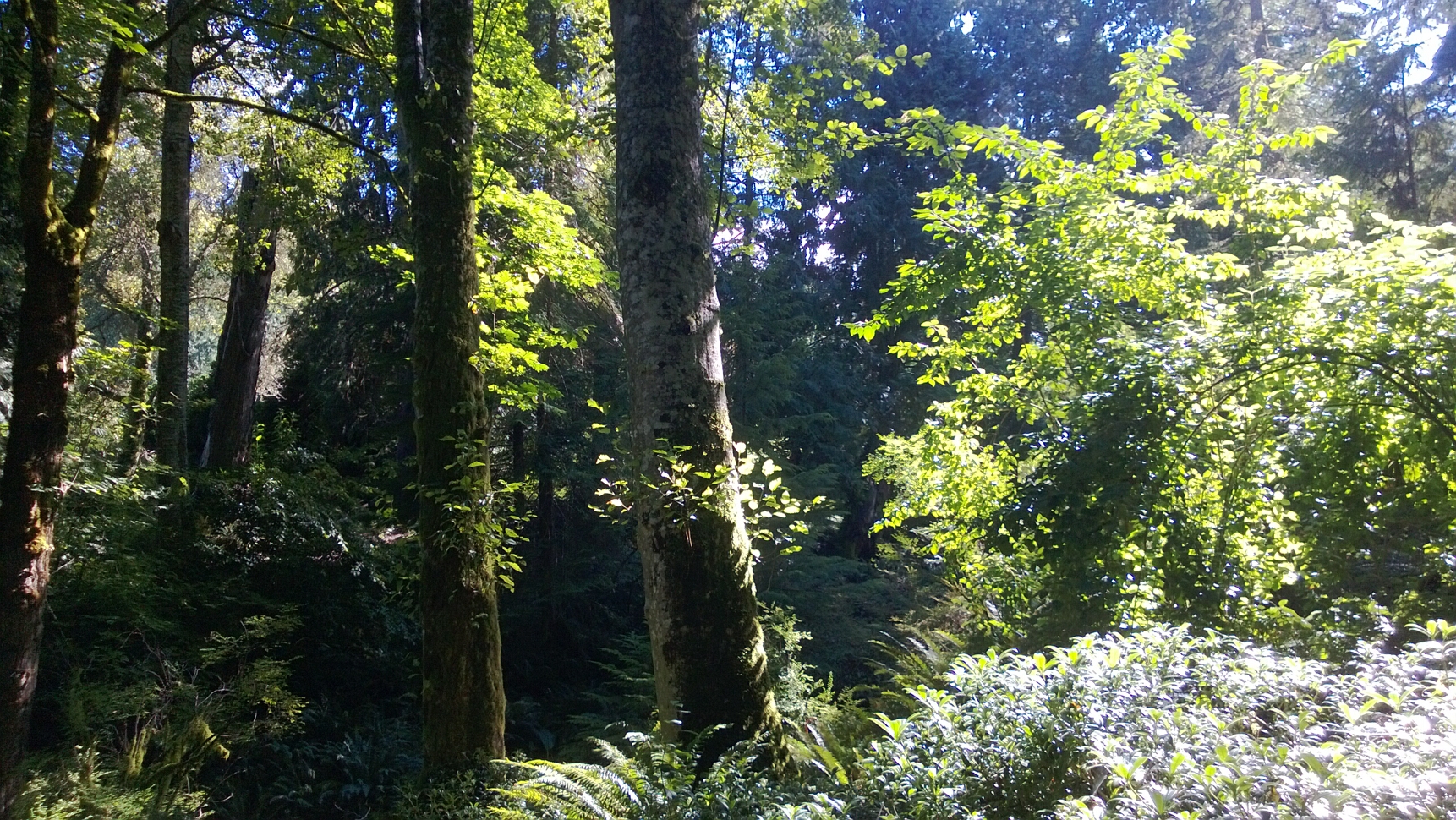 Click to See Next Image