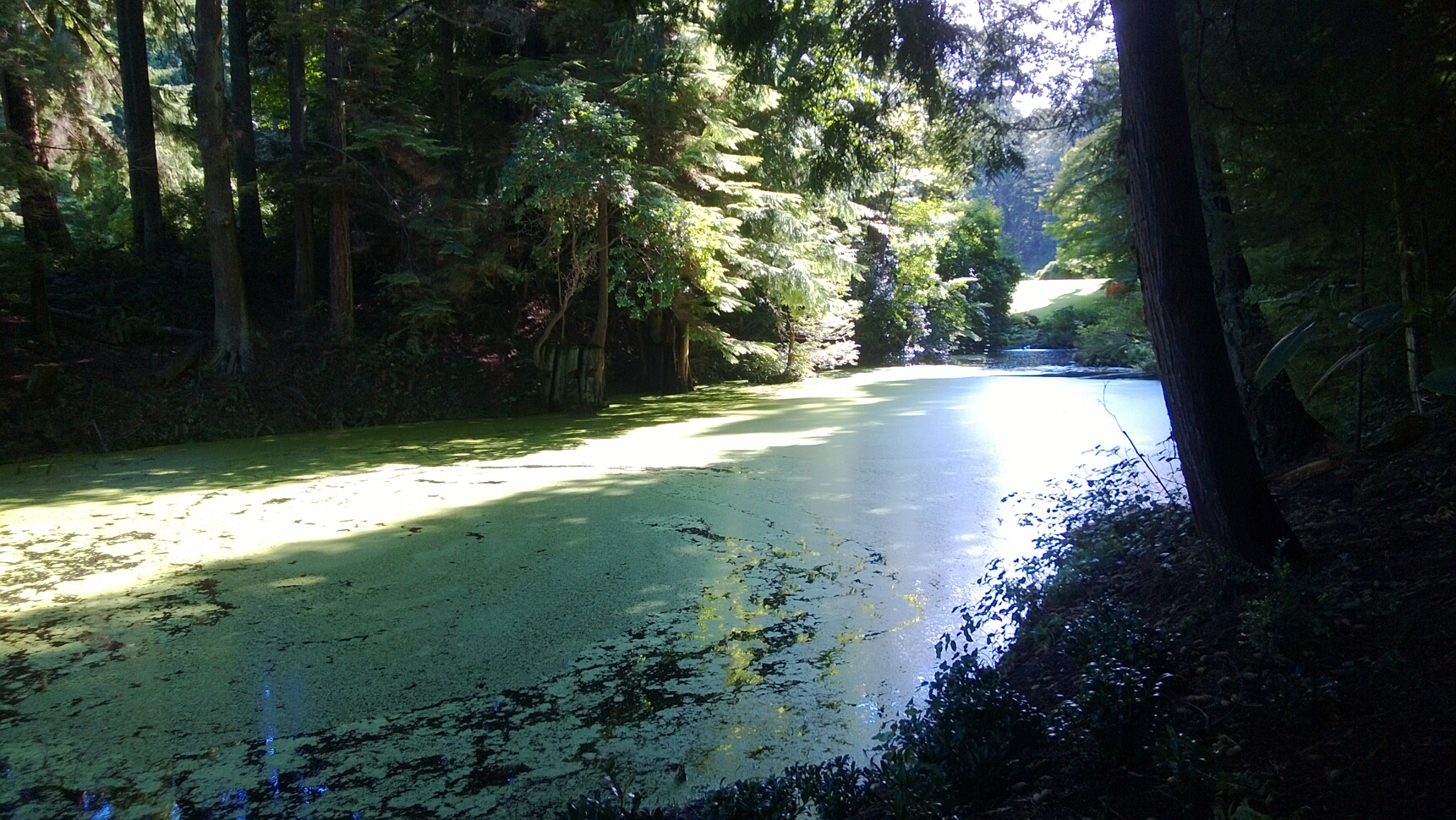 Click to See Next Image