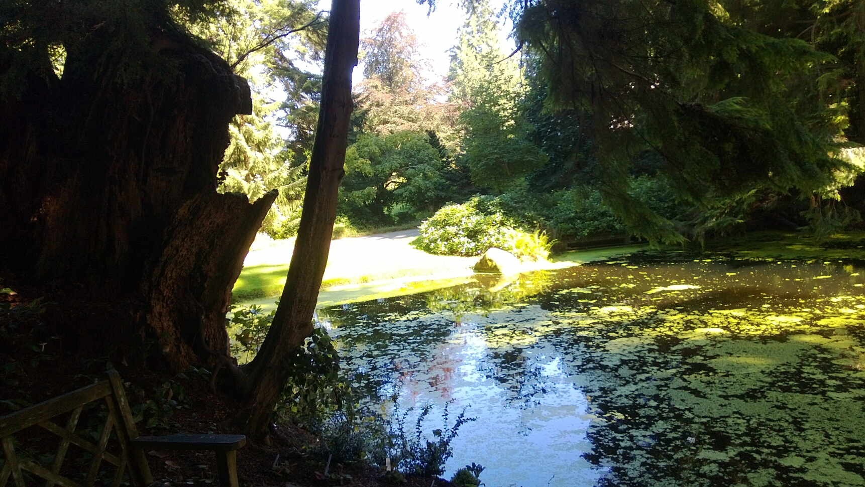 Click to See Next Image