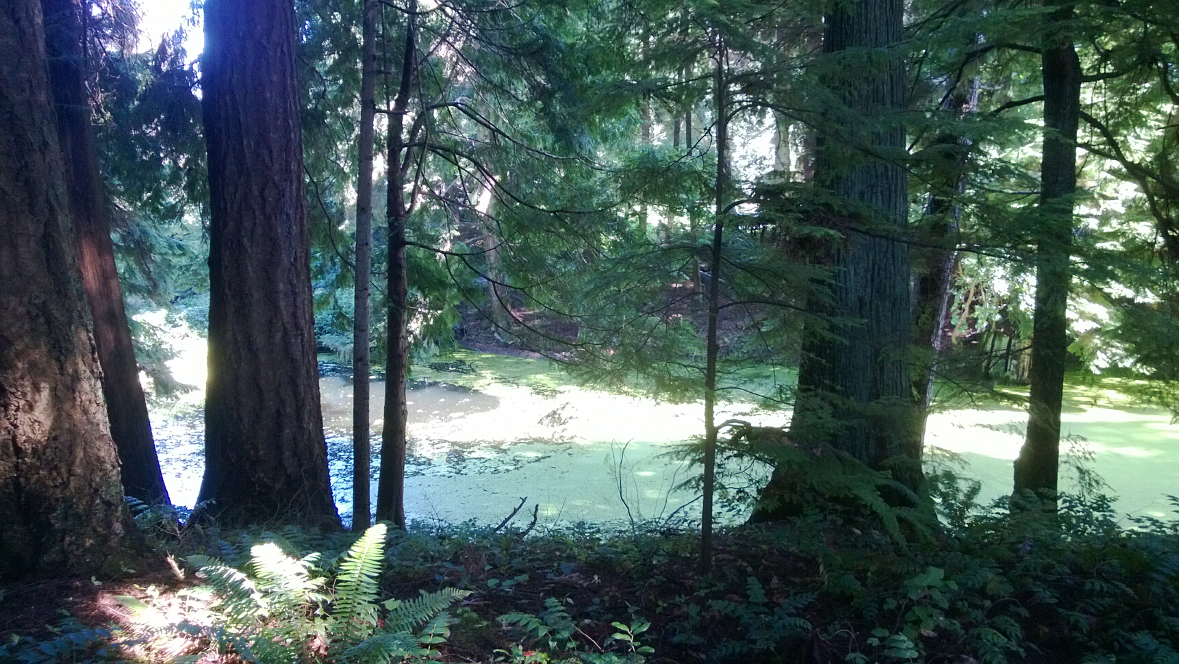 Click to See Next Image