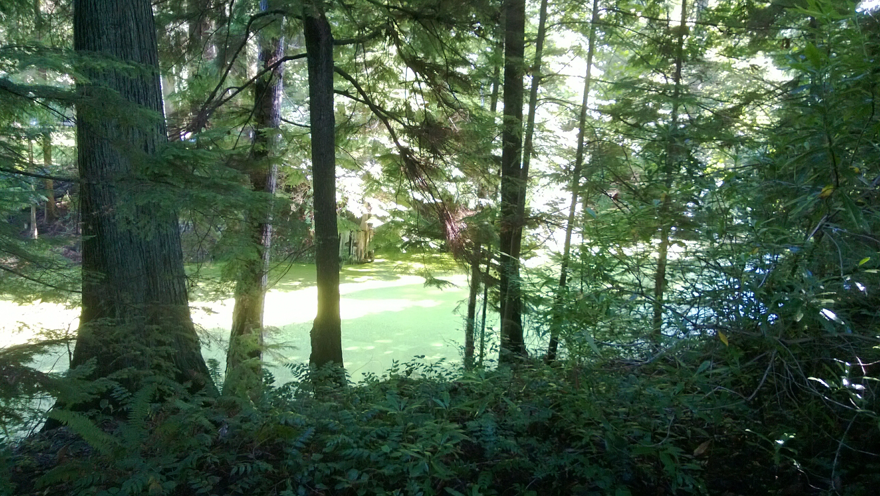 Click to See Next Image