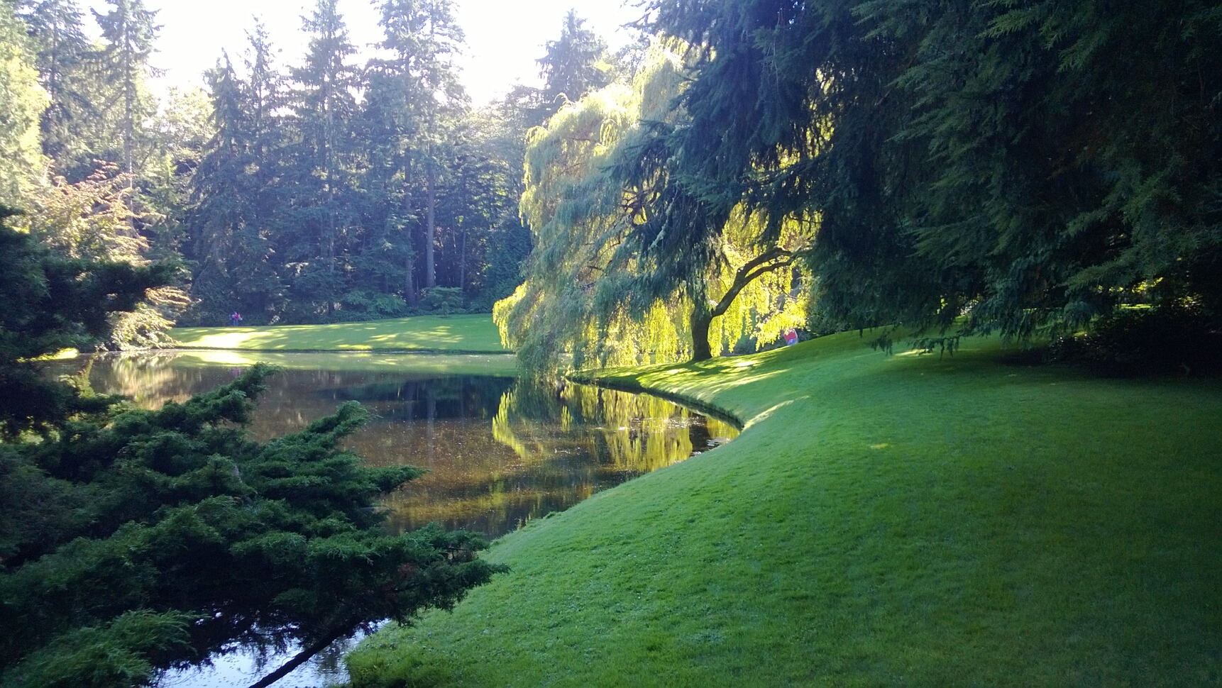 Click to See Next Image