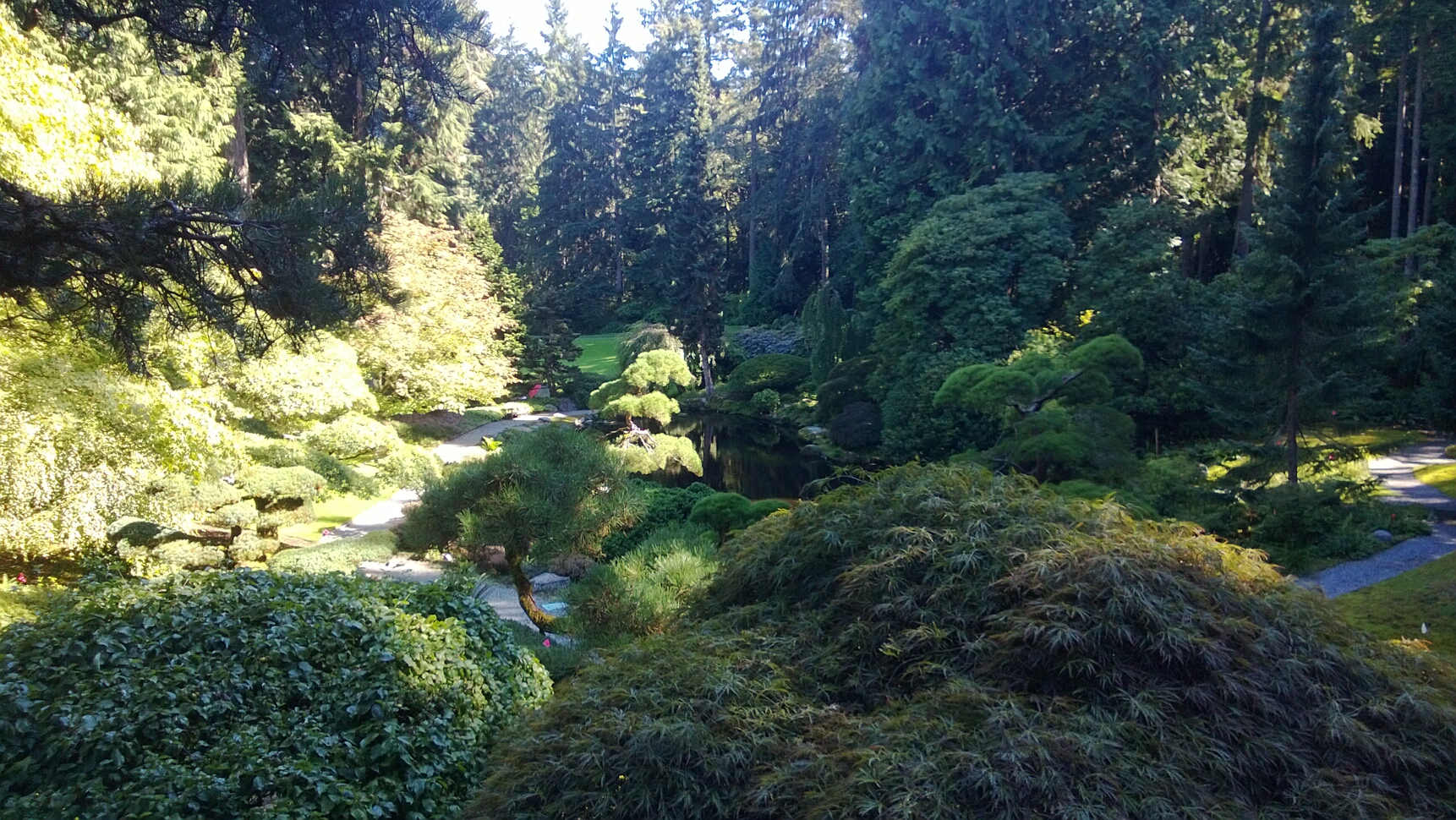 Click to See Next Image