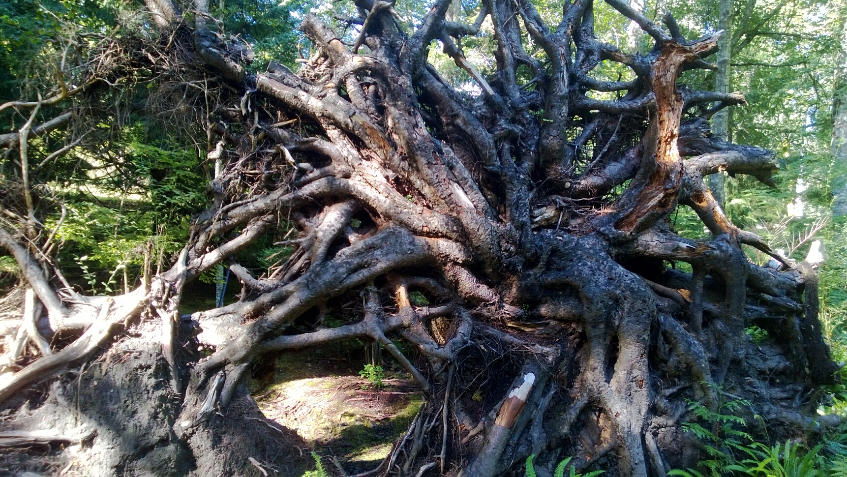 Click to See Next Image