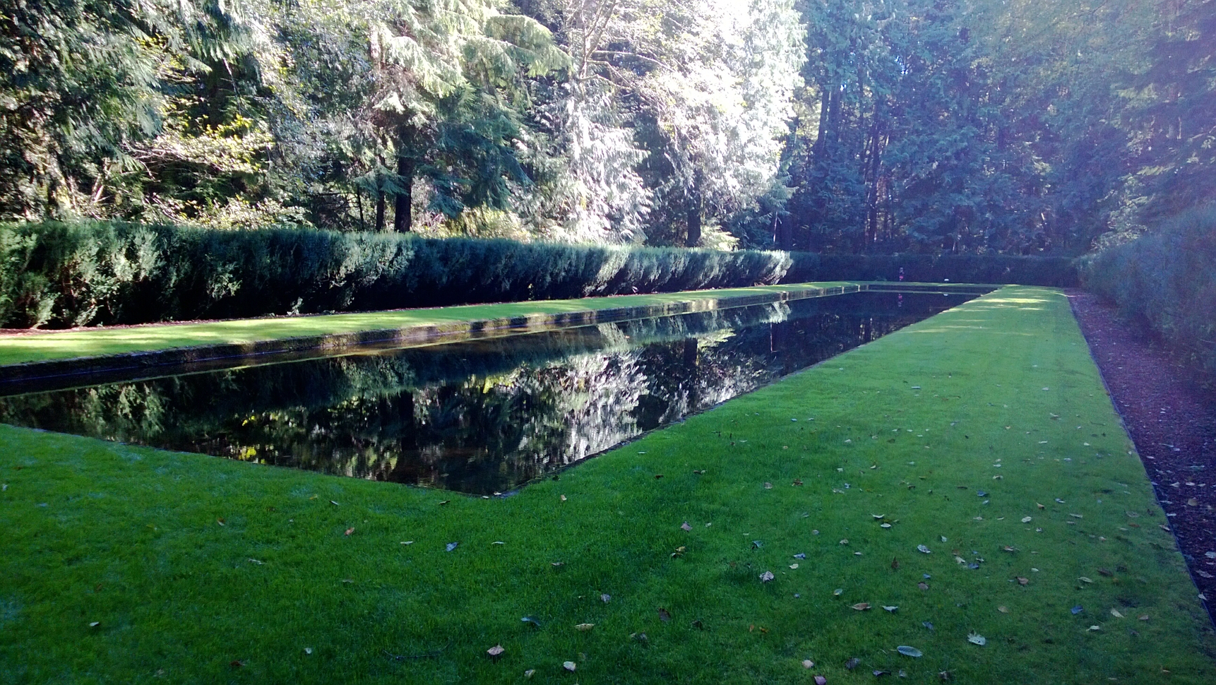 Click to See Next Image