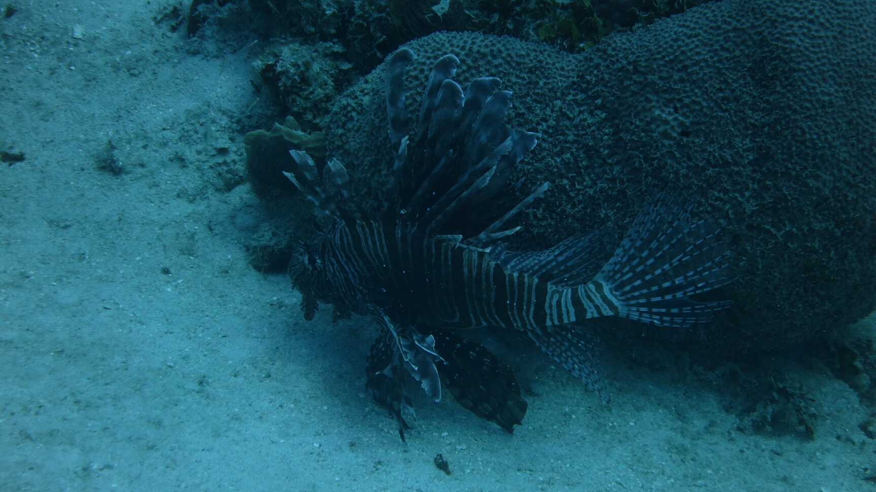 Click to See Next Image