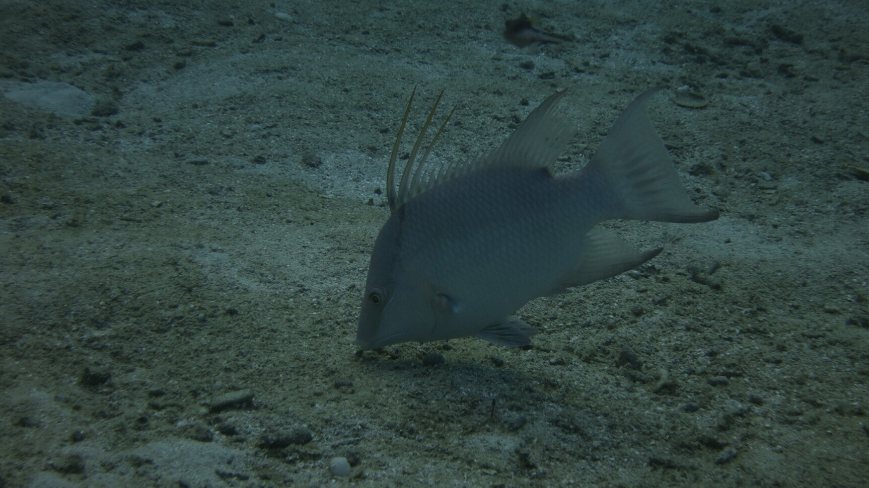 Click to See Next Image