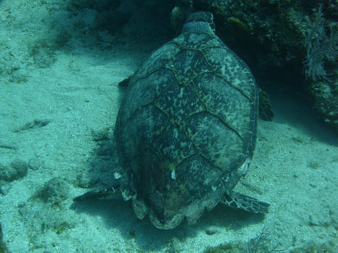 Click to See Next Image