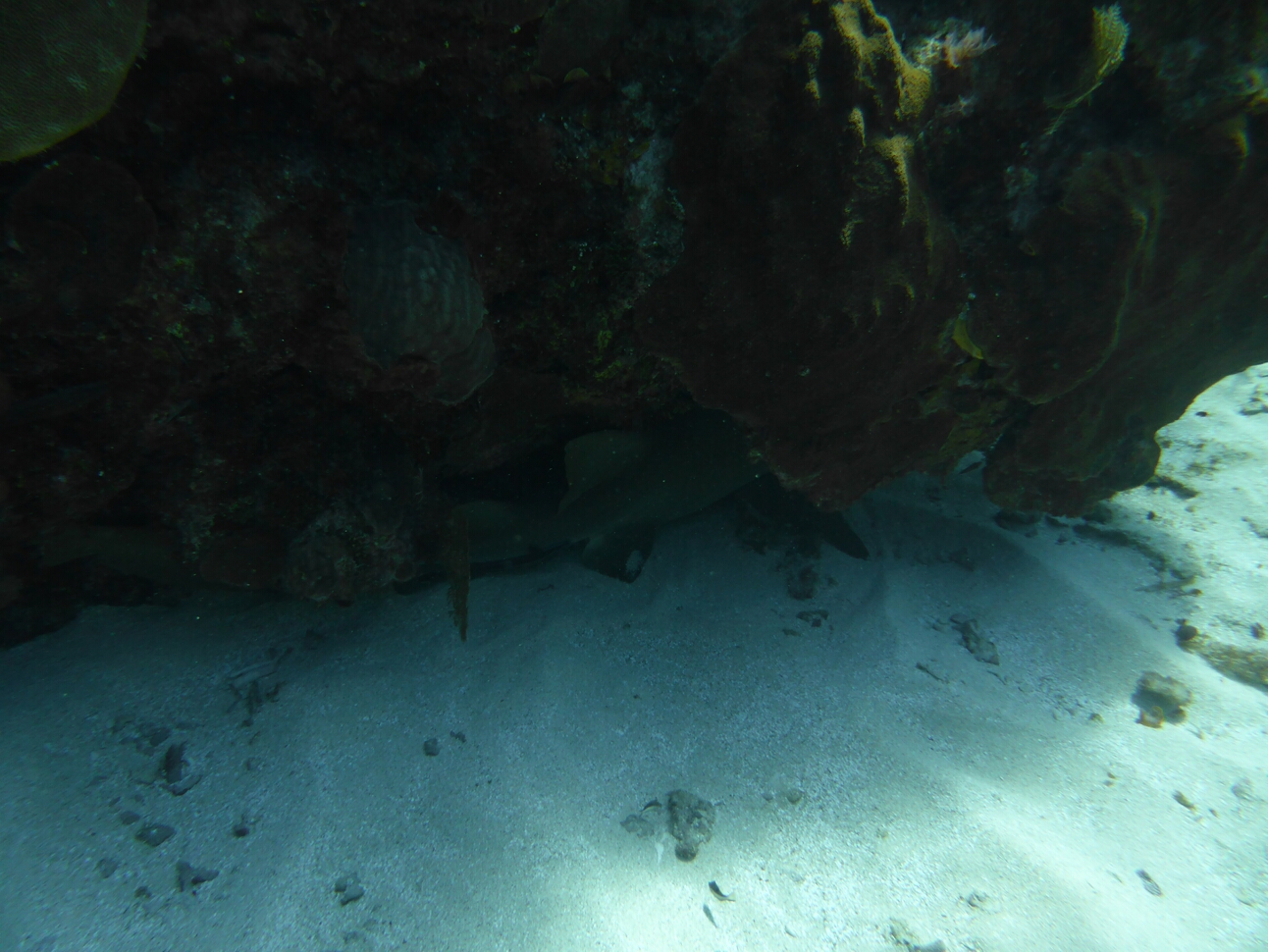 Click to See Next Image