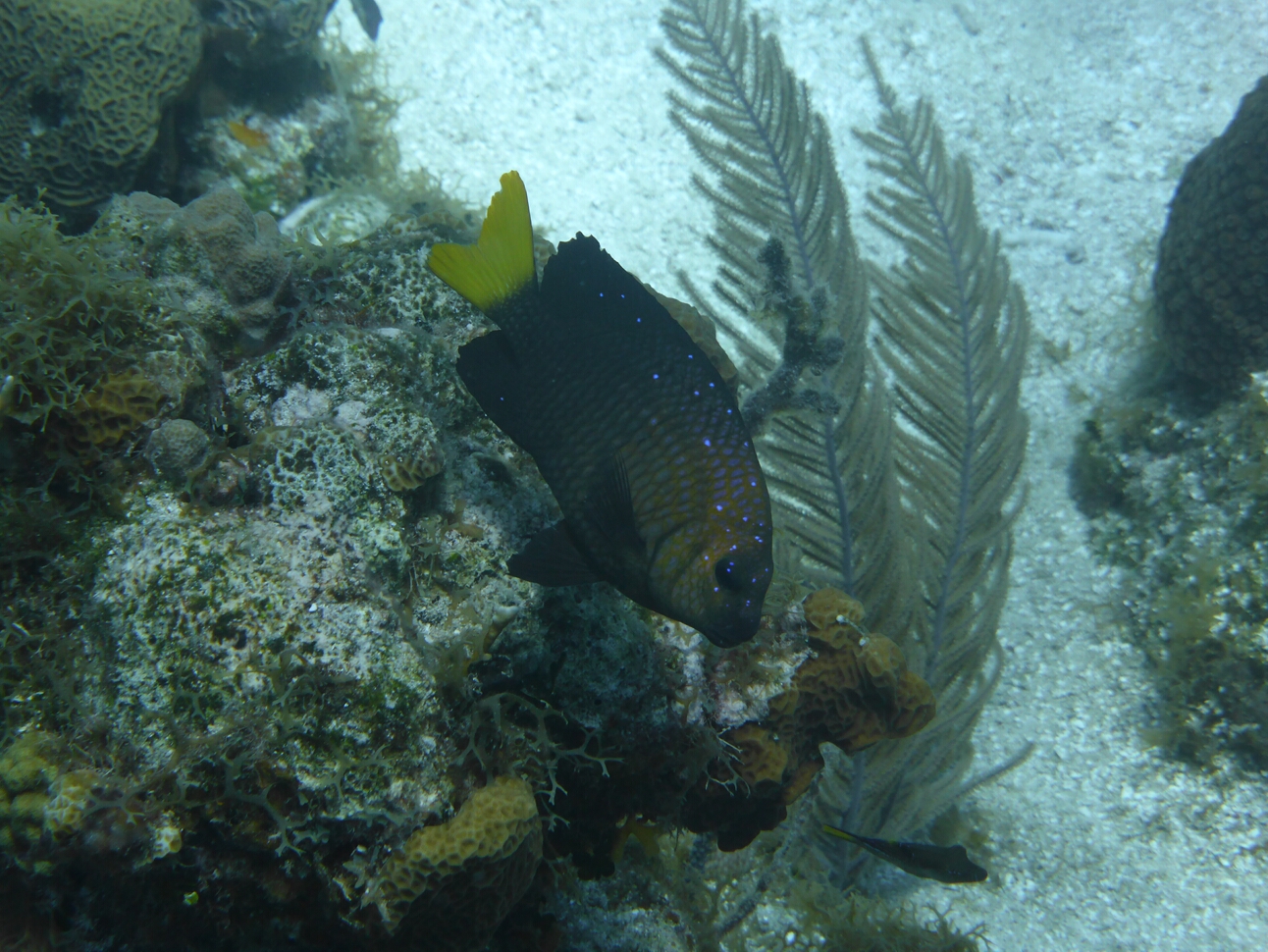 Click to See Next Image