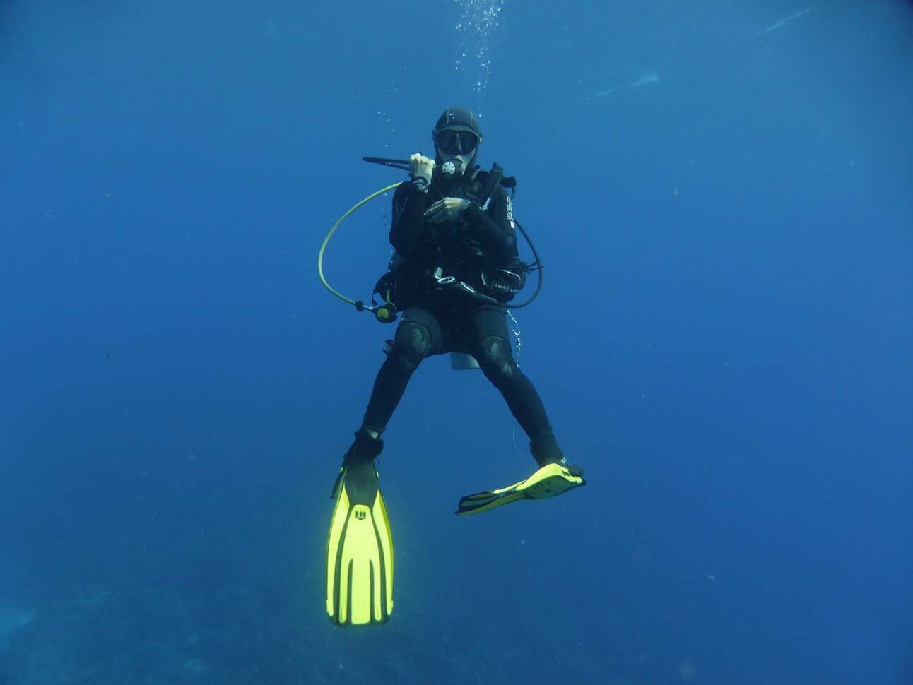 Click to See Next Image