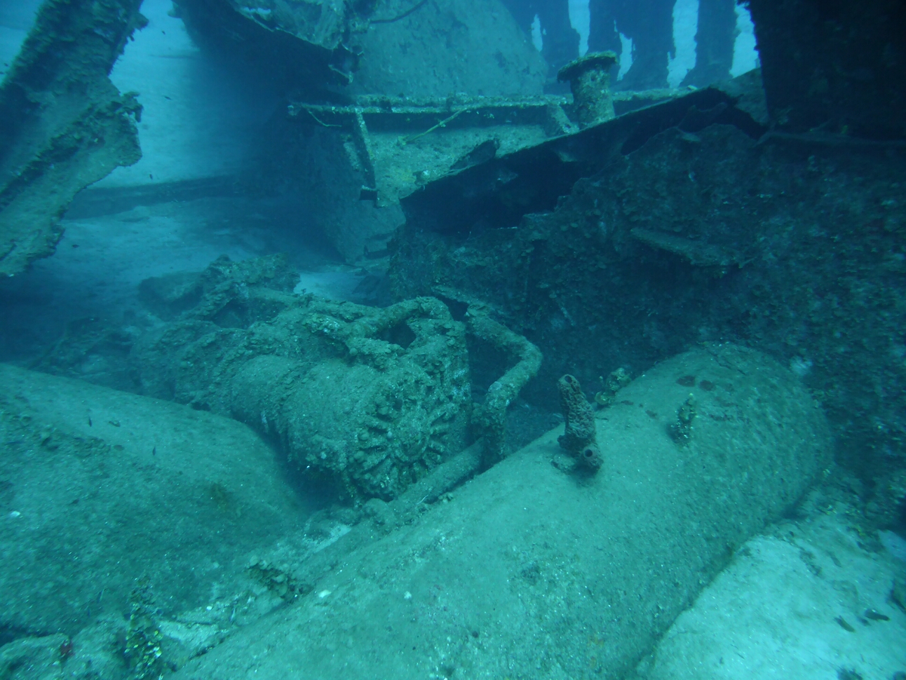 Click to See Next Image