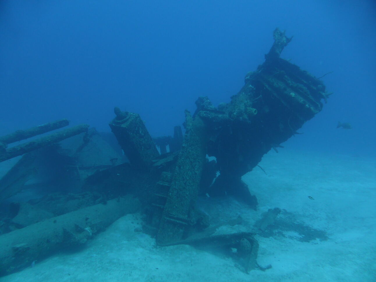 Click to See Next Image