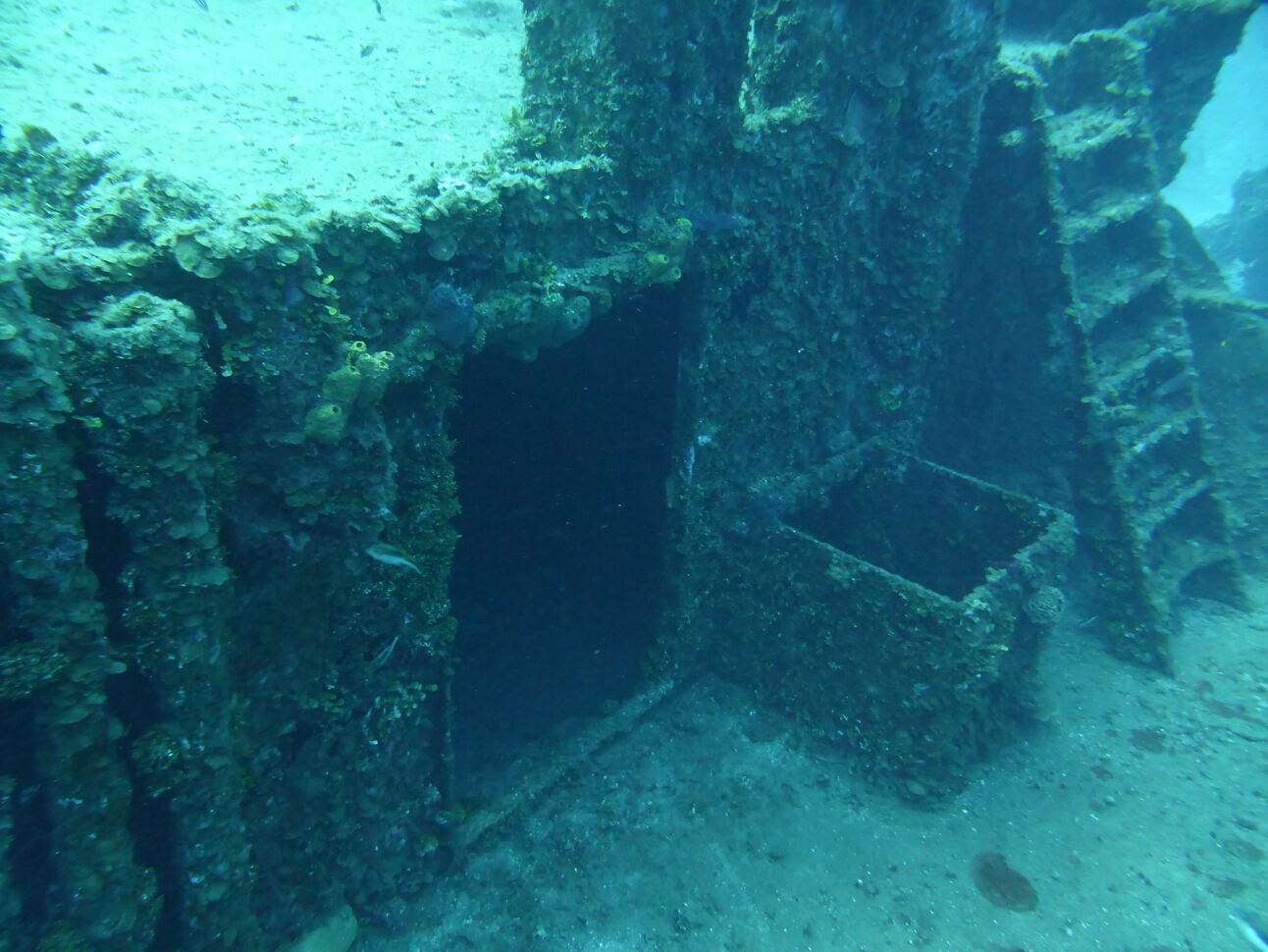 Click to See Next Image