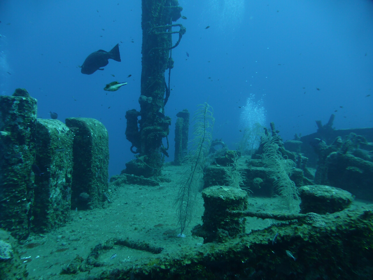 Click to See Next Image