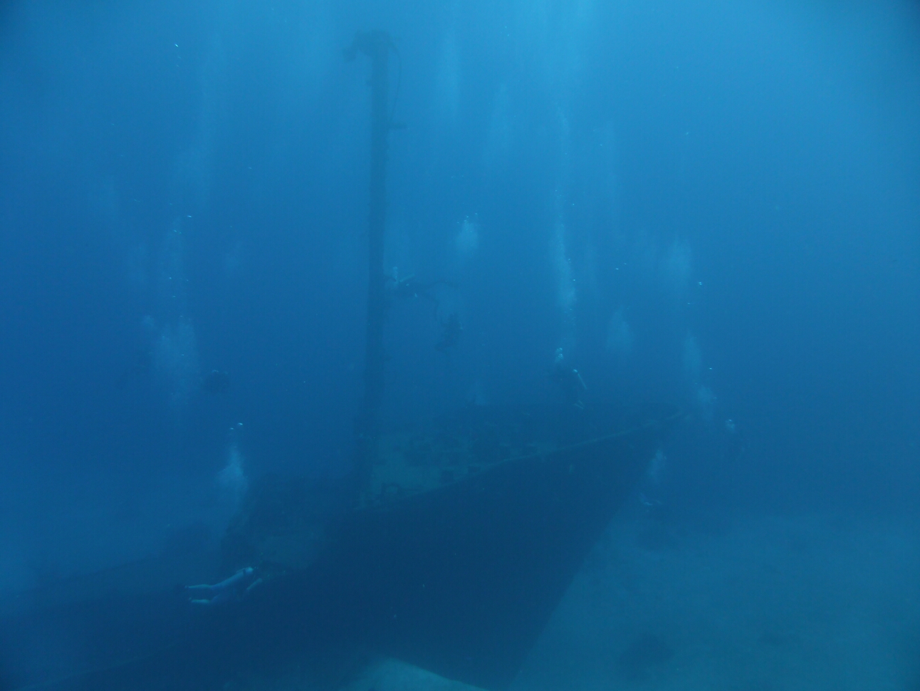 Click to See Next Image