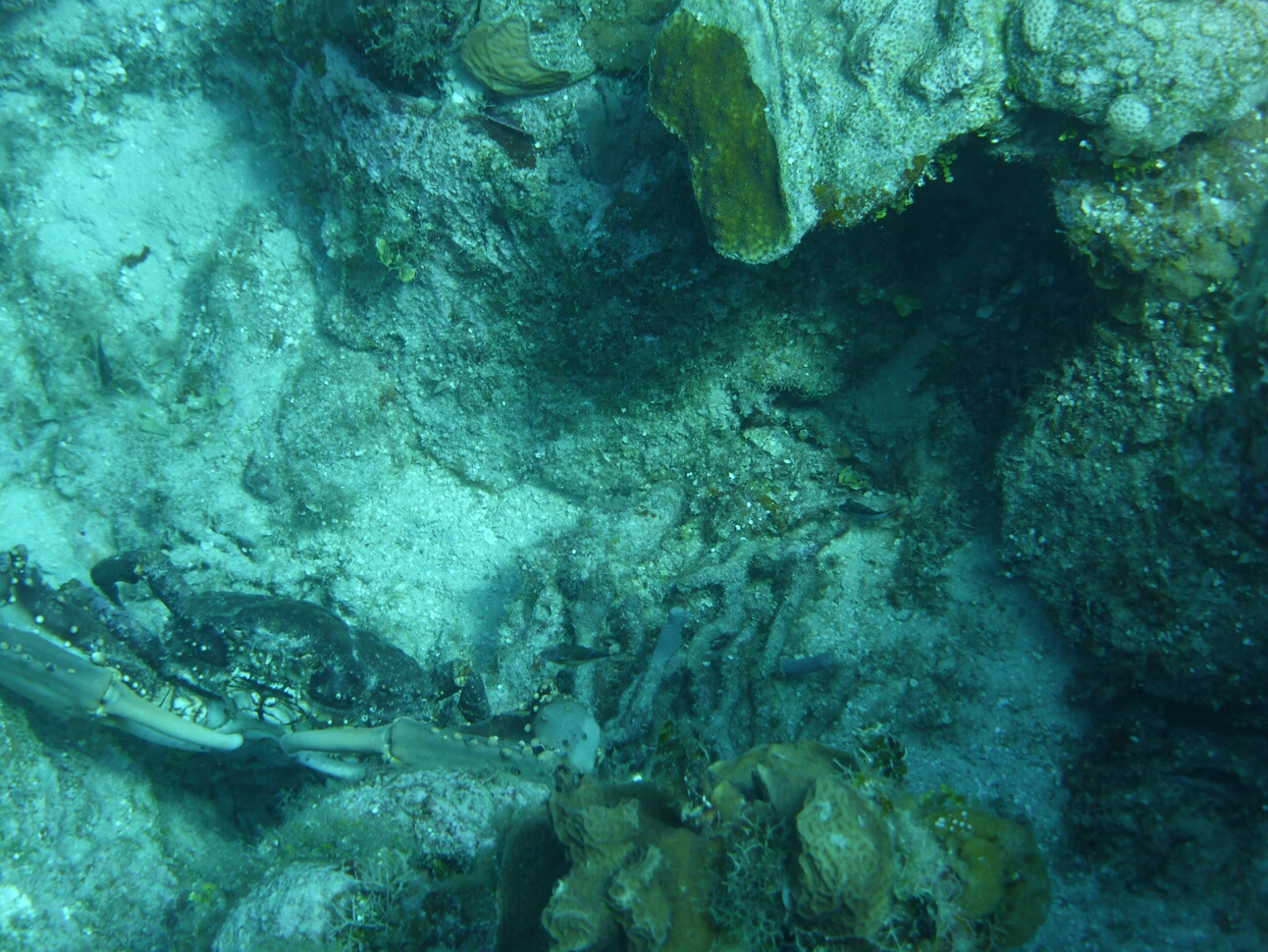 Click to See Next Image