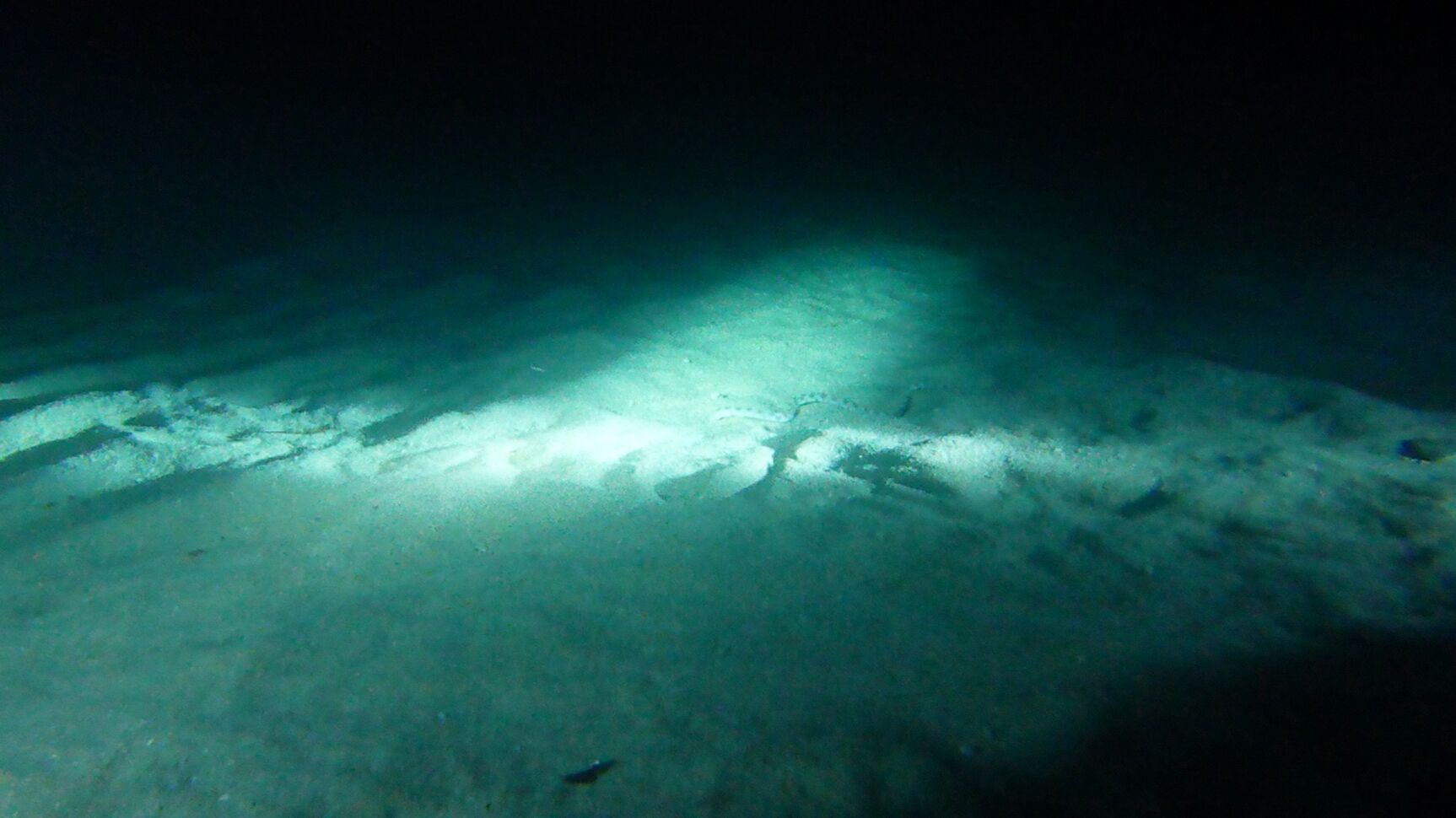 Click to See Next Image