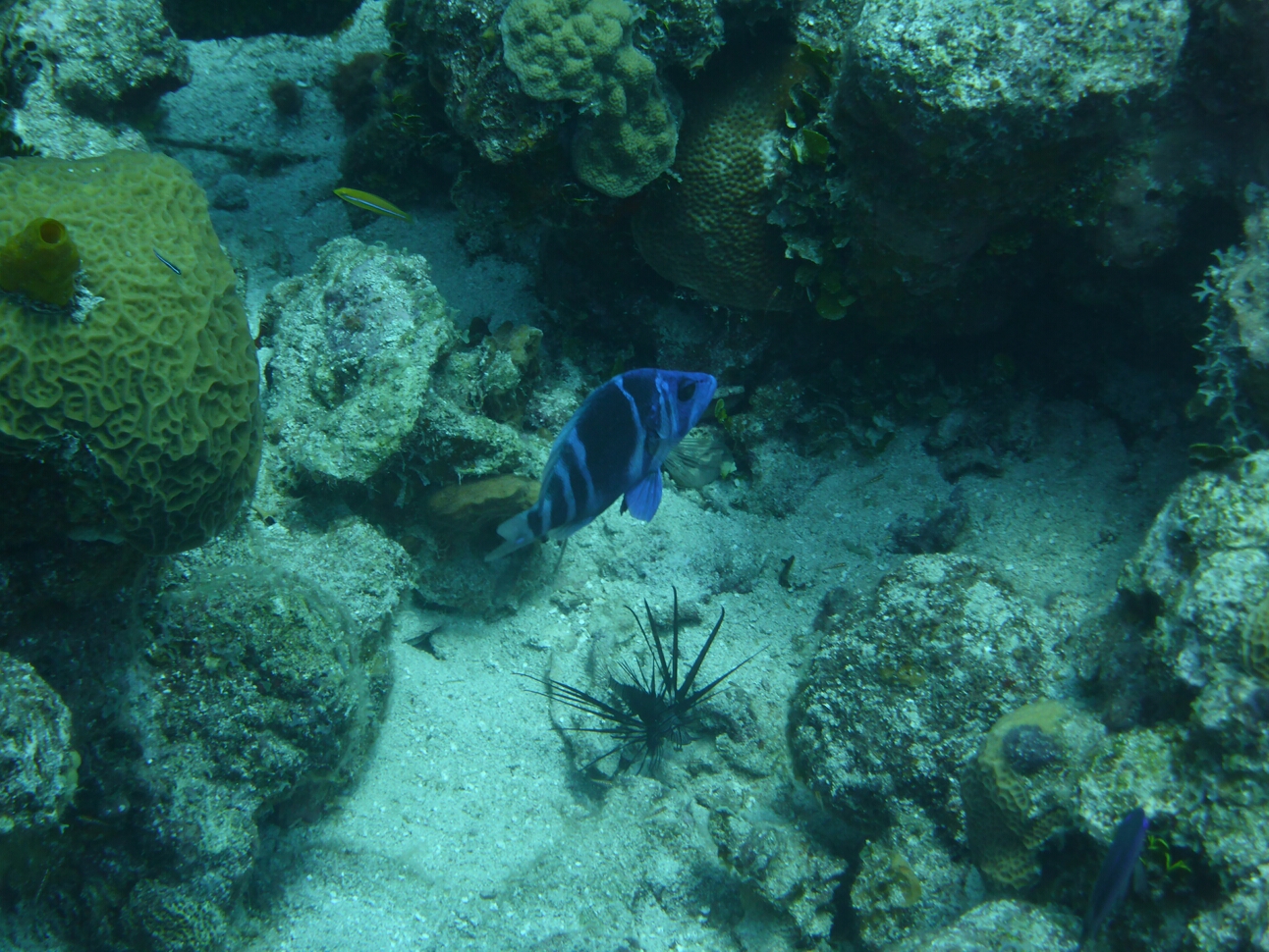 Click to See Next Image