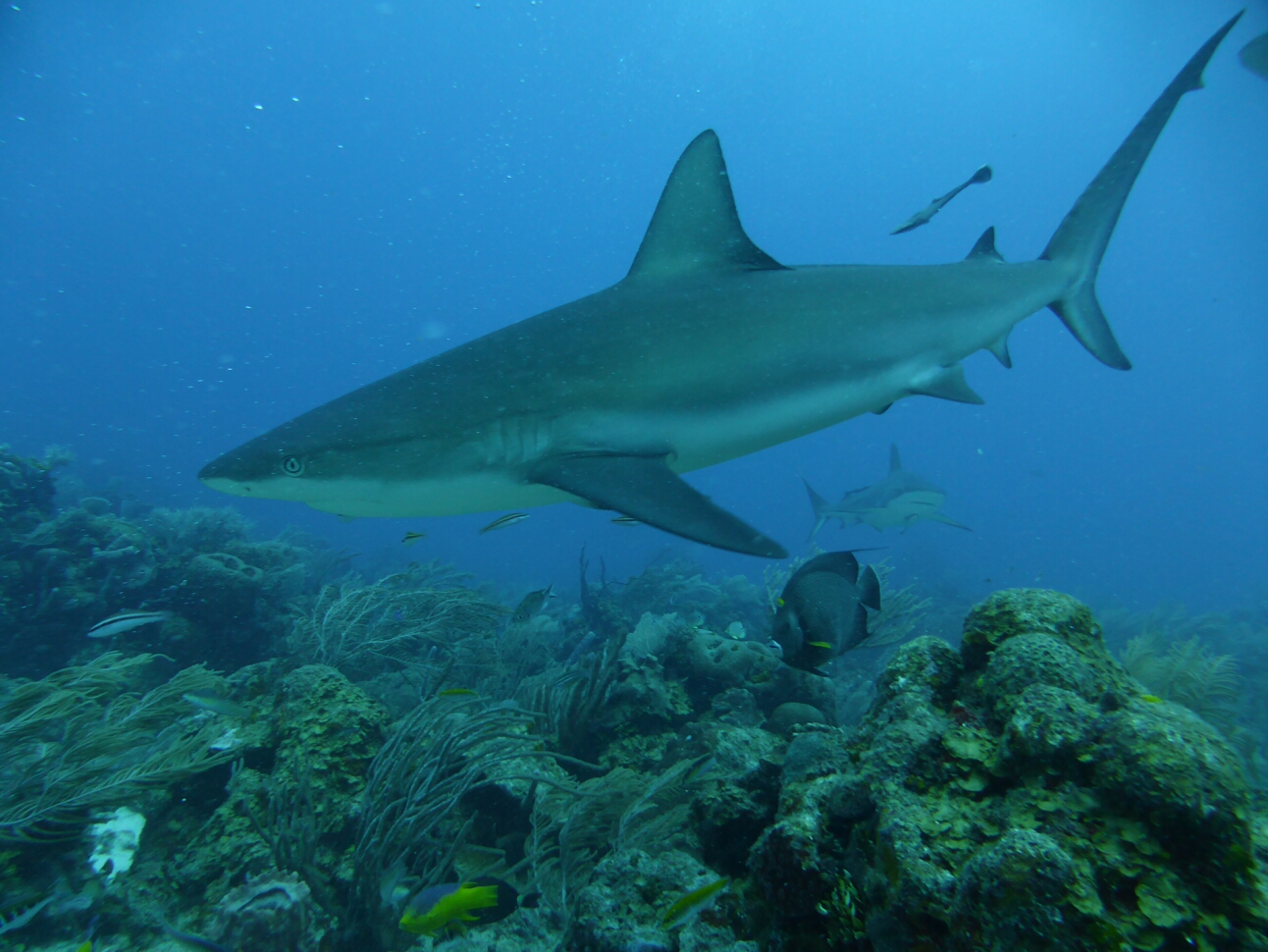 Click to See Next Image