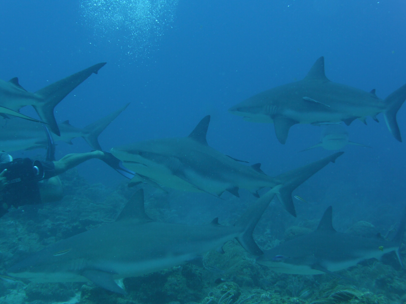 Click to See Next Image